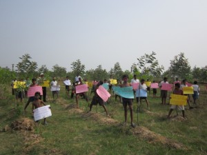 Copy of IMG 0740
